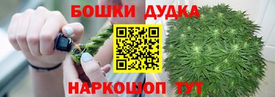 spice Обь