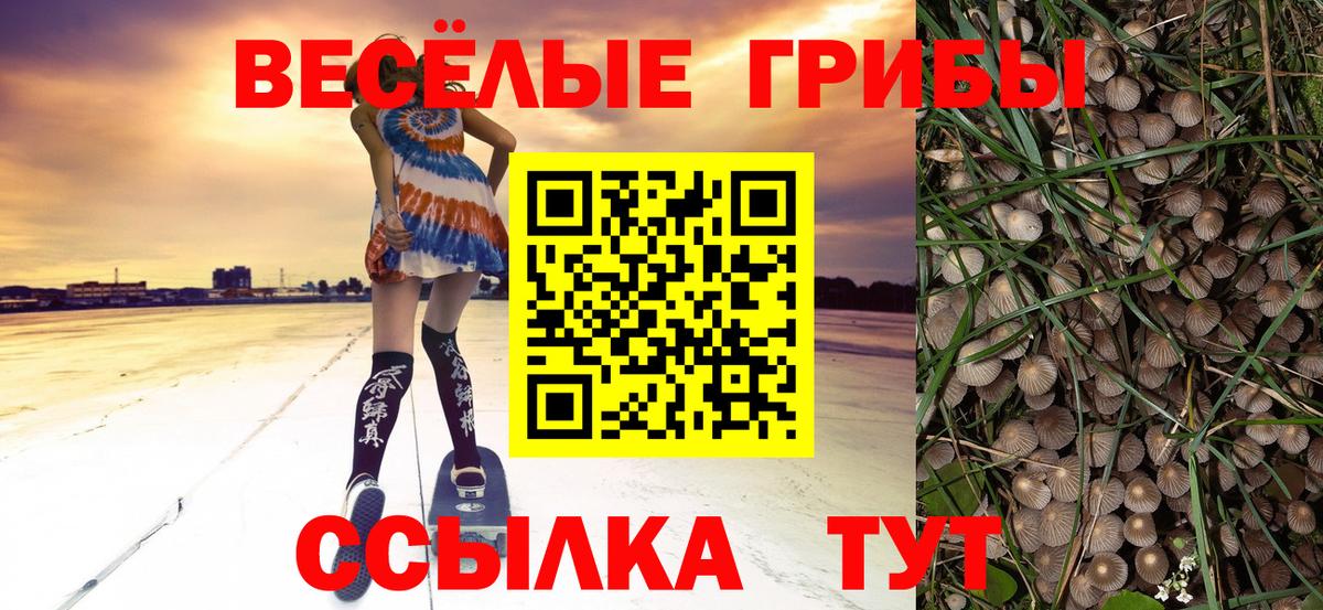 Галлюциногенные грибы мицелий Саянск
