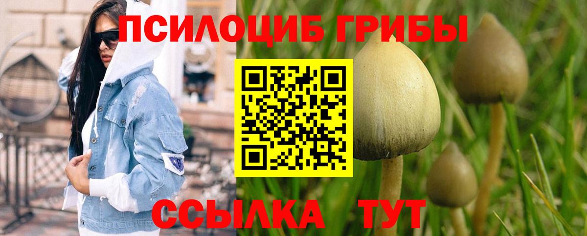 Псилоцибиновые грибы Magic Shrooms  Вход с VPN  цена   Саянск 